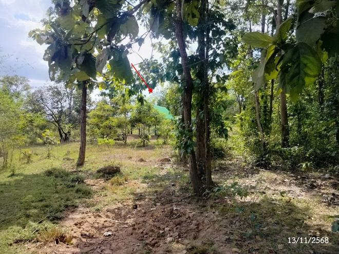 picture FACTORY 1756 Sq.w. Wanon Niwat Sakon Nakhon for 2M - 5/20
