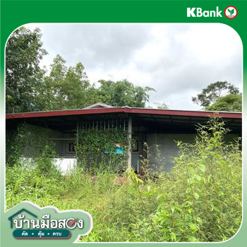 รูป บ้านเดี่ยว 986 ตร.วา เซกา บึงกาฬ 4.1M - รูปที่ 32/34