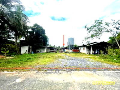 ที่ดิน พัทลุง : ฟาร์ม 1603 ตร.วา เมืองพัทลุง พัทลุง 7M