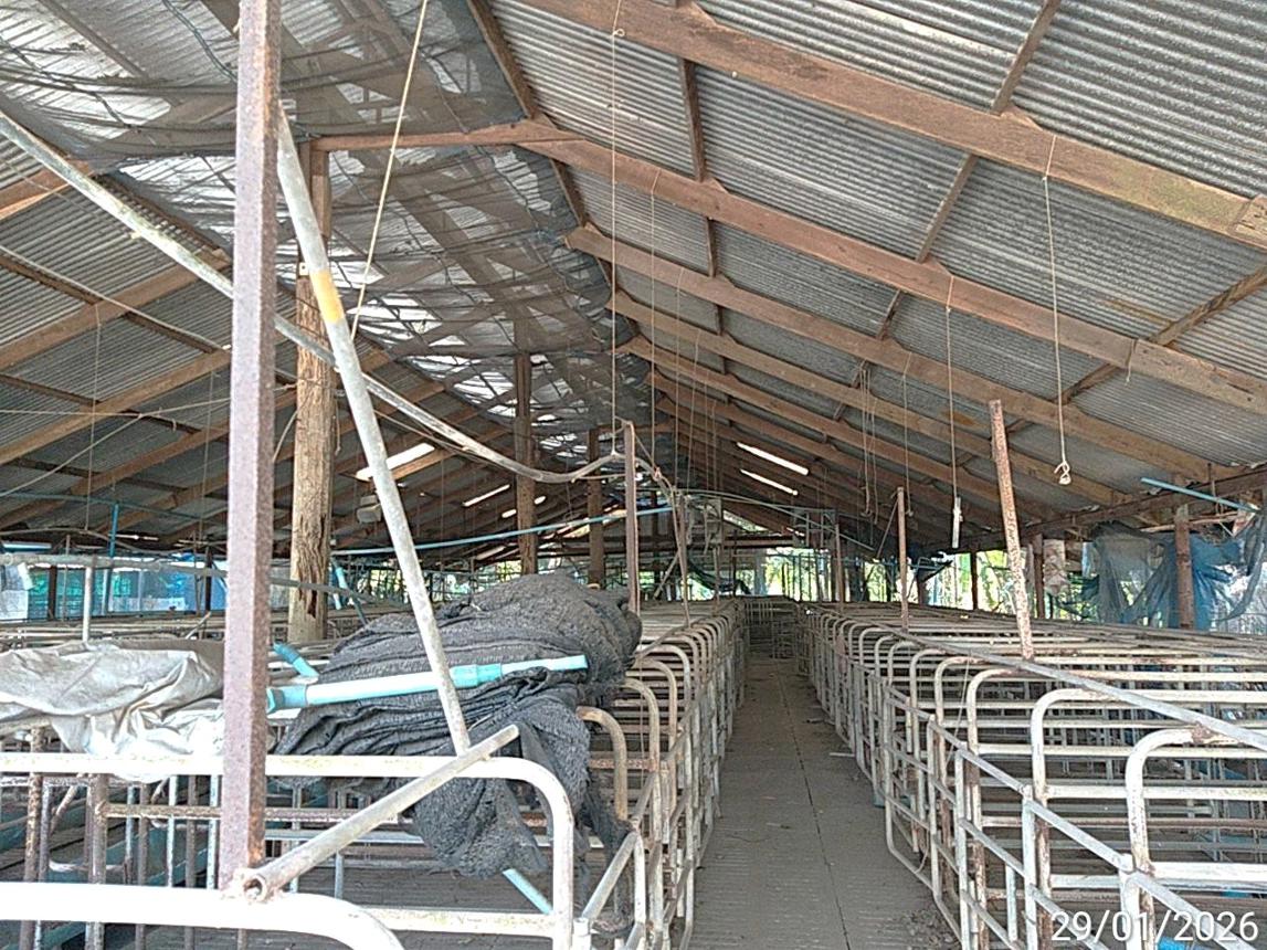 รูป ฟาร์ม 6600 ตร.วา เมืองปราจีนบุรี ปราจีนบุรี 12.1M - รูปที่ 26/50