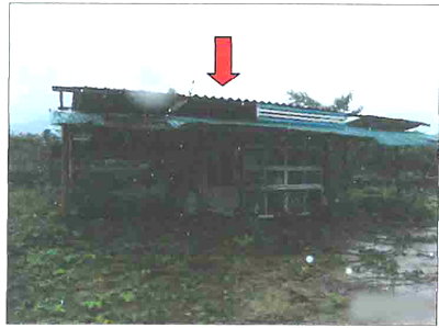 LAND 2289 Sq.w. Thoeng Chiang Rai for 7M