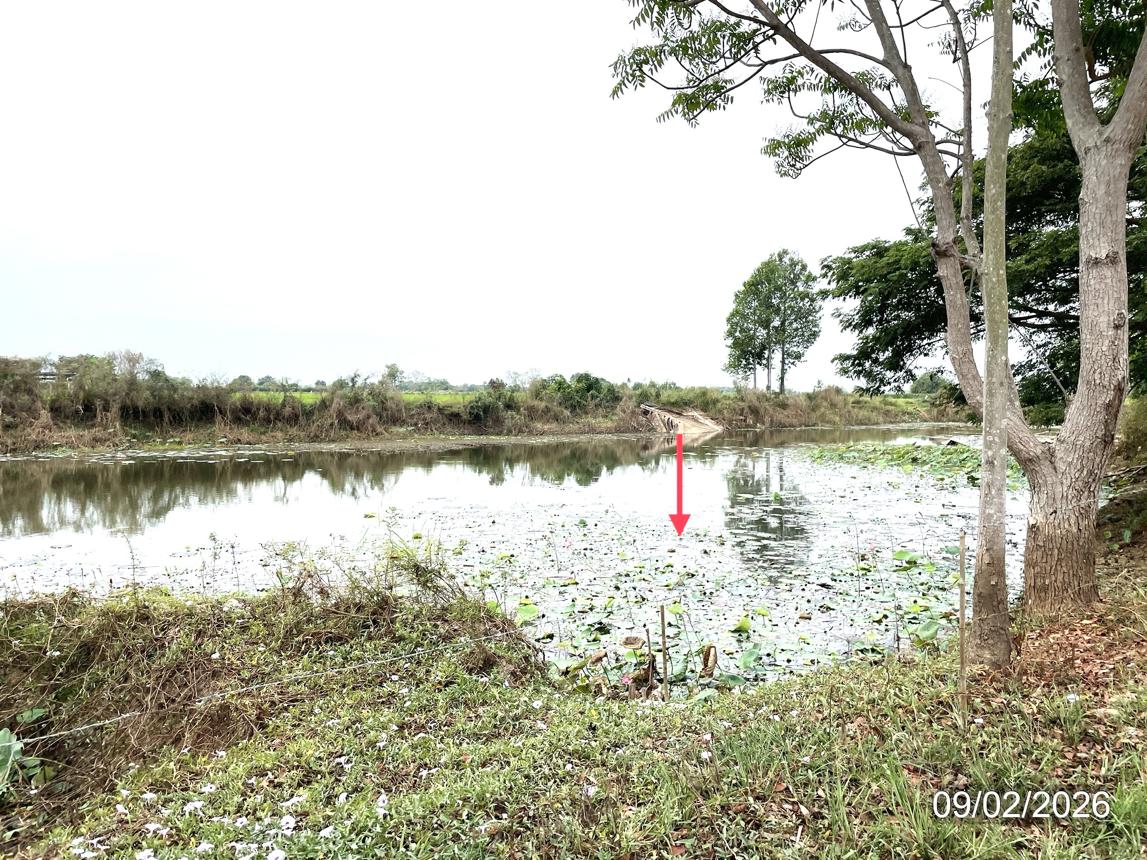 picture LAND 6259 Sq.w. Muang Phichit Phichit for 989,000 - 27/32