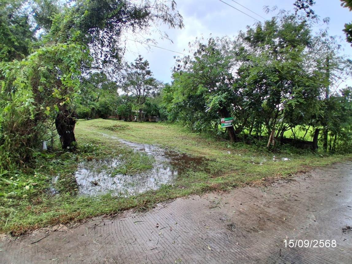 picture HOME 2910 Sq.w. Phana Amnat Charoen for 1.8M - 22/26