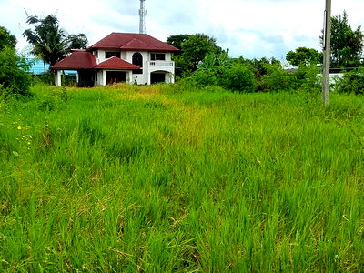 Land for sale Nakhon Ratchasima : LAND 979 Sq.w. Sung Noen Nakhon Ratchasima for 10.1M