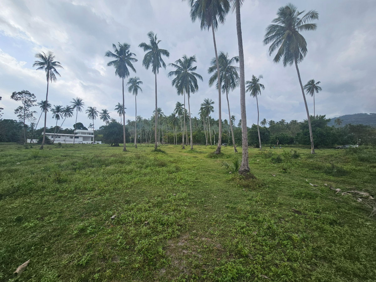 รูป ขายที่ดินสวยกลางเกาะสมุย ขนาด 6ไร่ 1งาน 37 ตารางวา - รูปที่ 4/6