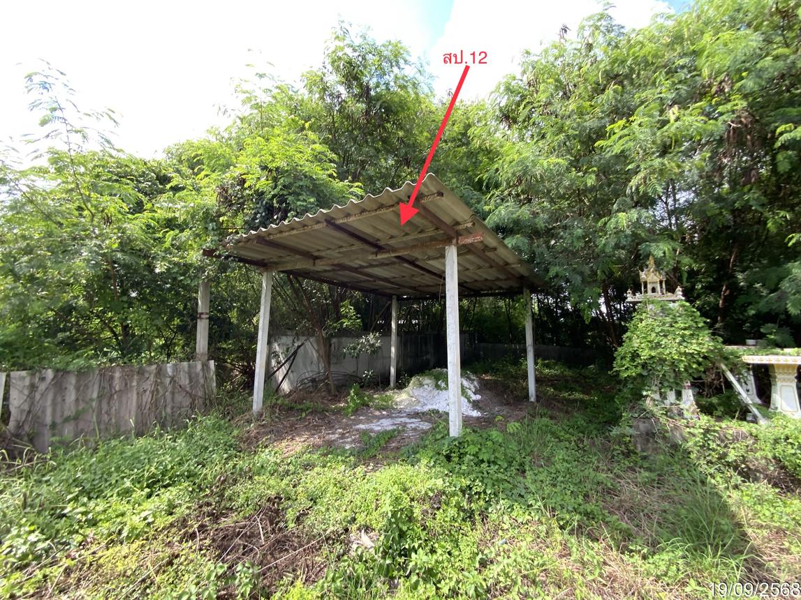 picture LAND 3345 Sq.w. Tha Wung Lopburi for 9.3M - 46/50