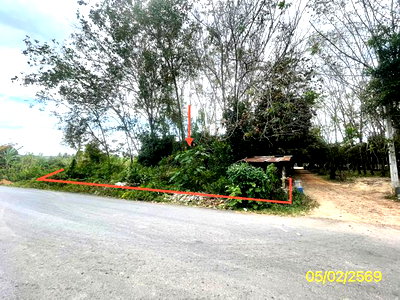 Land for sale Hat Yai Songkhla : LAND 310 Sq.w. Hat Yai Songkhla for 1.1M