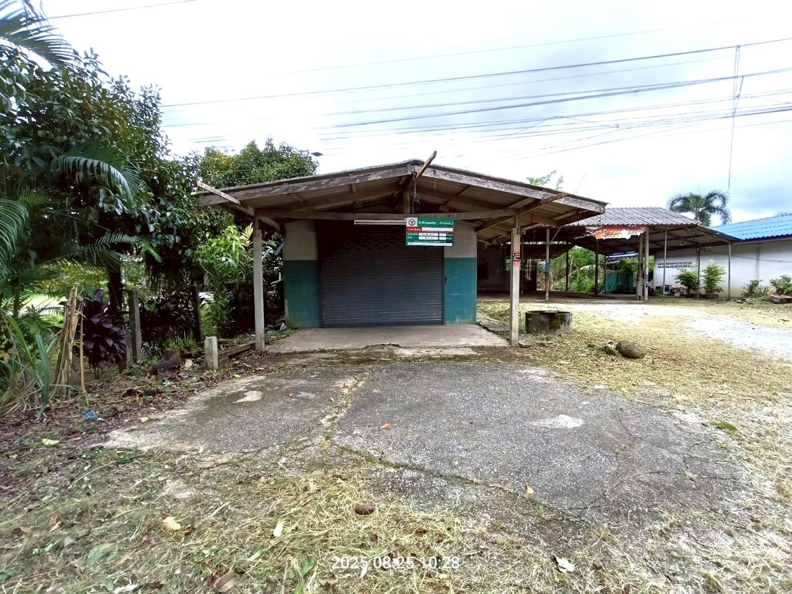 รูป บ้านเดี่ยว 293.6 ตร.วา ฉวาง นครศรีธรรมราช 3.5M - รูปที่ 14/30