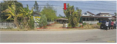 LAND 228 Sq.w. Wang Saphung Loei for 637,000