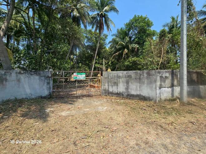 รูป บ้านเดี่ยว 7440 ตร.วา เก้าเลี้ยว นครสวรรค์ 3M - รูปที่ 2/32