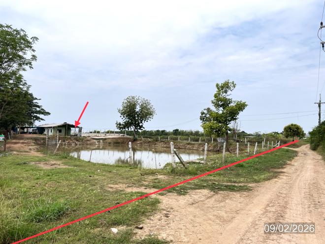 picture LAND 6259 Sq.w. Muang Phichit Phichit for 989,000 - 14/32