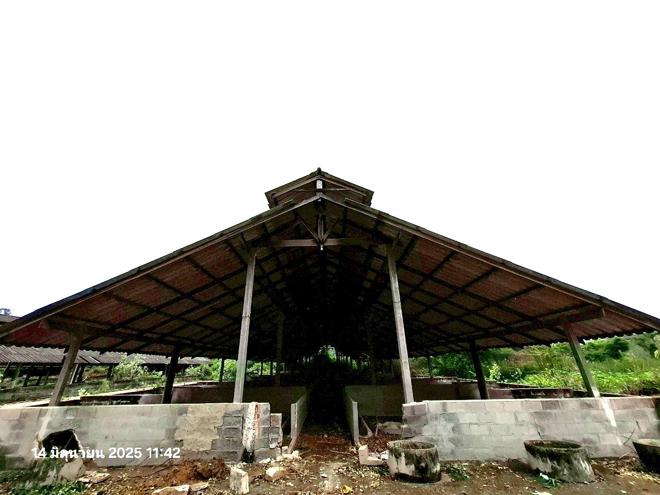 รูป ฟาร์ม 10017 ตร.วา โพธาราม ราชบุรี 16.4M - รูปที่ 15/36