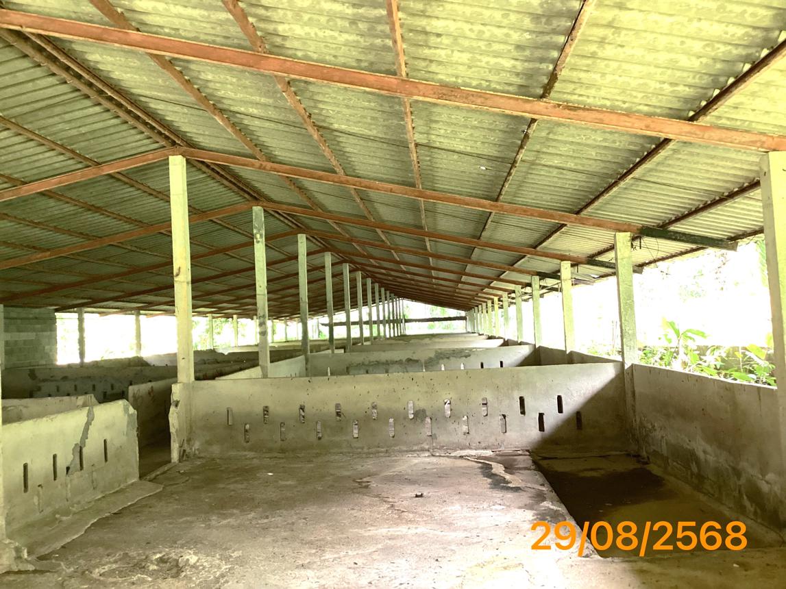 picture LAND 2165 Sq.w. Kapong Phangnga for 4M - 18/36