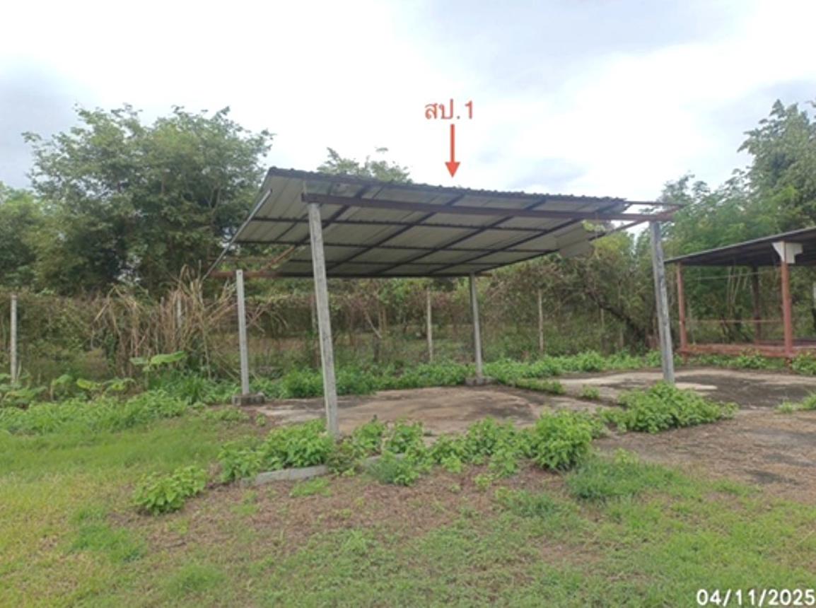 รูป เพิงอเนกประสงค์ 2778.4 ตร.วา ตระการพืชผล อุบลราชธานี 1.2M - รูปที่ 9/20
