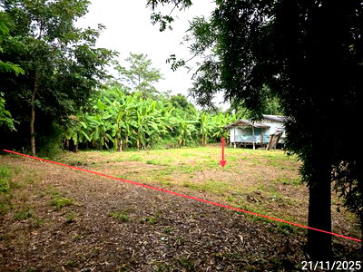 HOME 247 Sq.w. Dong Charoen Phichit for 403,000