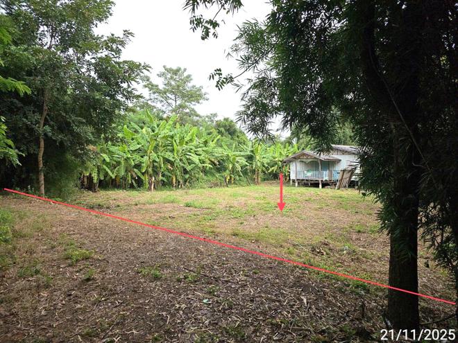 รูป บ้านเดี่ยว 247 ตร.วา ดงเจริญ พิจิตร 403,000 - รูปที่ 1/42