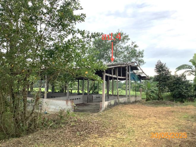 picture LAND 3649 Sq.w. Chalermphrakiet Nakhon Sri Thammarat for 9.9M - 12/38