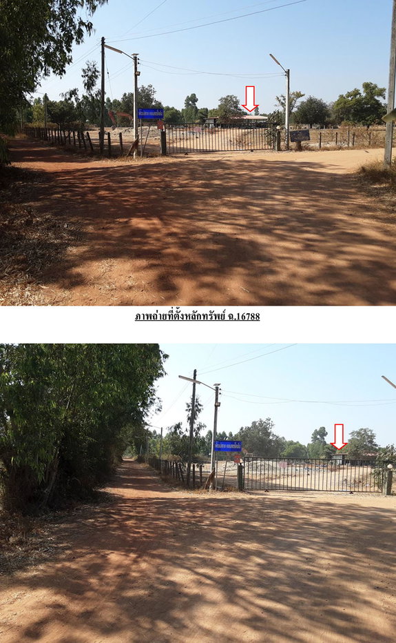 picture LAND 11053 Sq.w. Na Wa Nakhon Phanom Price on request - 4/7