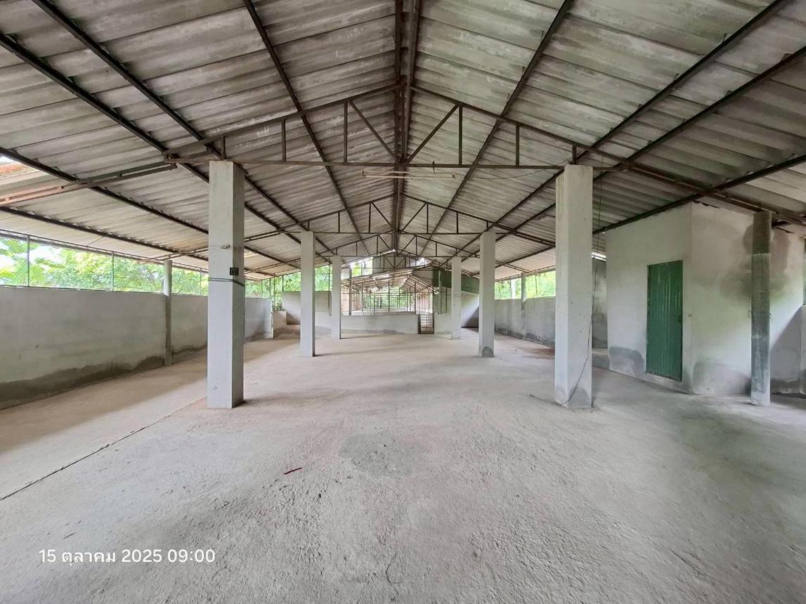 รูป เพิงอเนกประสงค์ 525 ตร.วา จอมทอง เชียงใหม่ 1.4M - รูปที่ 17/30