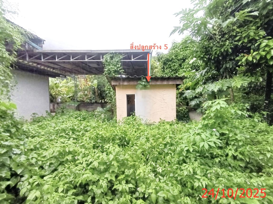 รูป บ้านเดี่ยว 245 ตร.วา สะบ้าย้อย สงขลา 3.1M - รูปที่ 40/50