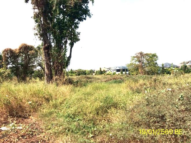 รูป บ้านเดี่ยว 3859 ตร.วา เมืองนนทบุรี นนทบุรี 132.7M - รูปที่ 6/24