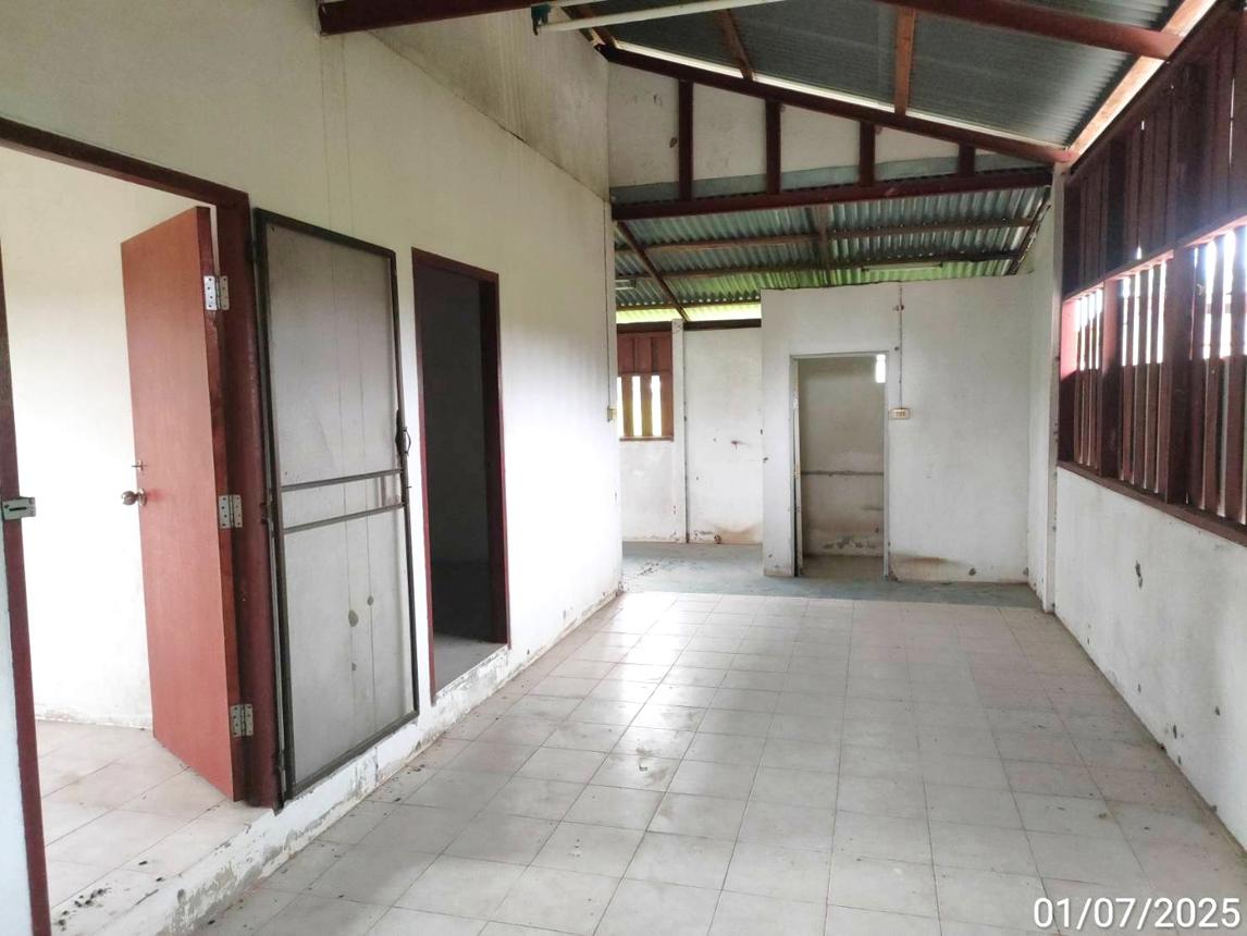 รูป บ้านเดี่ยว 2800 ตร.วา โกสุมพิสัย มหาสารคาม 2.6M - รูปที่ 13/24
