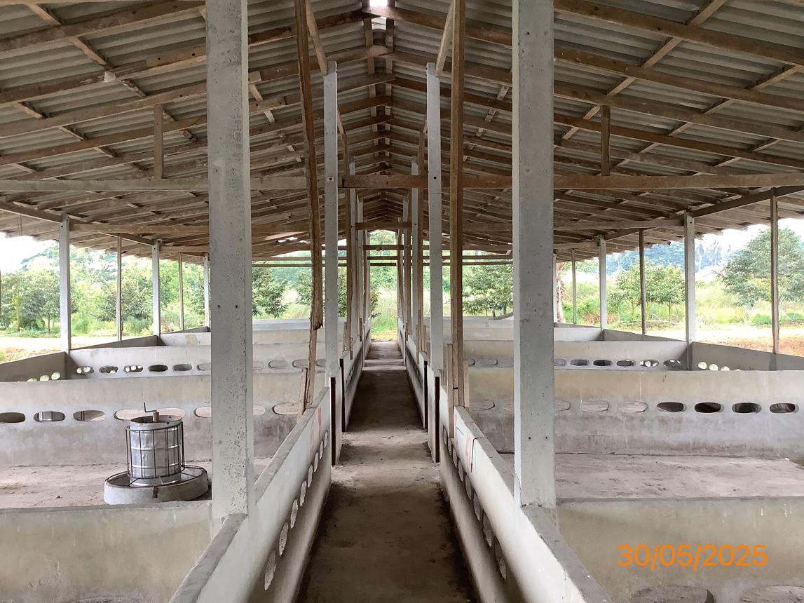 picture LAND 3649 Sq.w. Chalermphrakiet Nakhon Sri Thammarat for 9.9M - 27/38