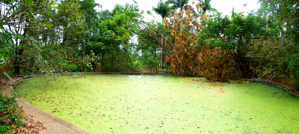 รูป ที่ดินพร้อมสิ่งปลูกสร้าง 9554 ตร.วา อำเภอมวกเหล็ก สระบุรี 74.4M - รูปที่ 13/26