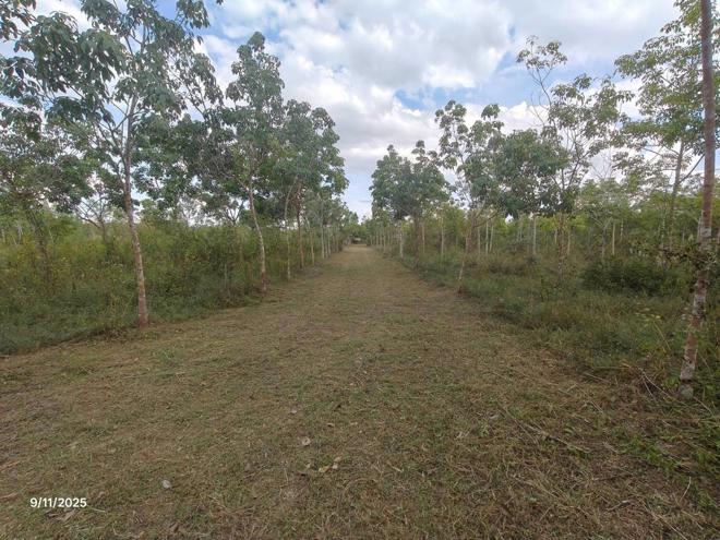 รูป บ้านเดี่ยว 23335 ตร.วา เมืองอุดรธานี อุดรธานี 9.5M - รูปที่ 11/30