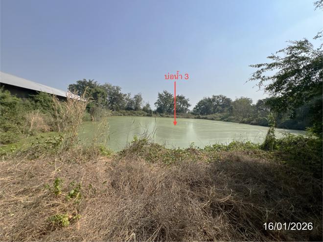 picture LAND 9600 Sq.w. Kao Lieo Nakhon Sawan for 12.6M - 21/46