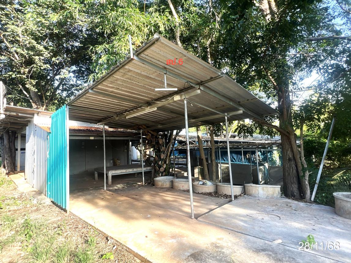 รูป ฟาร์ม 7094.2 ตร.วา หันคา ชัยนาท 6.9M - รูปที่ 36/44