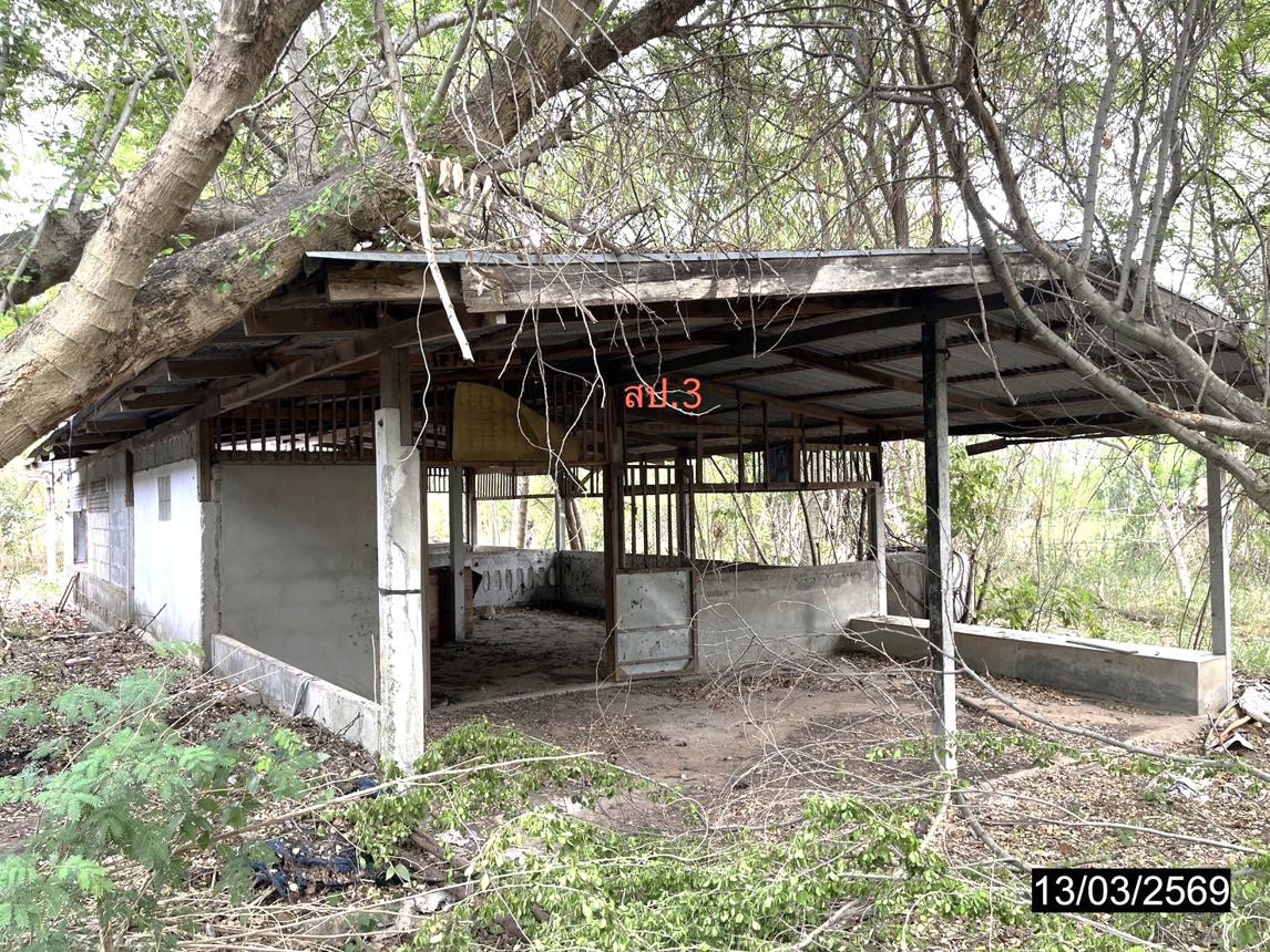 รูป บ้านเดี่ยว 940 ตร.วา กุดรัง มหาสารคาม 3.4M - รูปที่ 37/44