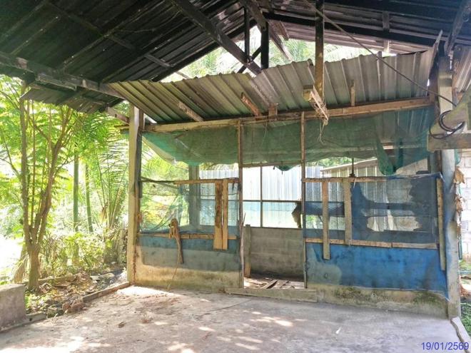 รูป บ้านเดี่ยว 75 ตร.วา ห้วยยอด ตรัง 1.4M - รูปที่ 13/30