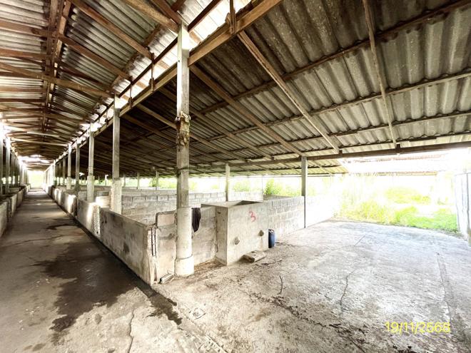 รูป ฟาร์ม 6790.8 ตร.วา โพธาราม ราชบุรี 15.2M - รูปที่ 18/44