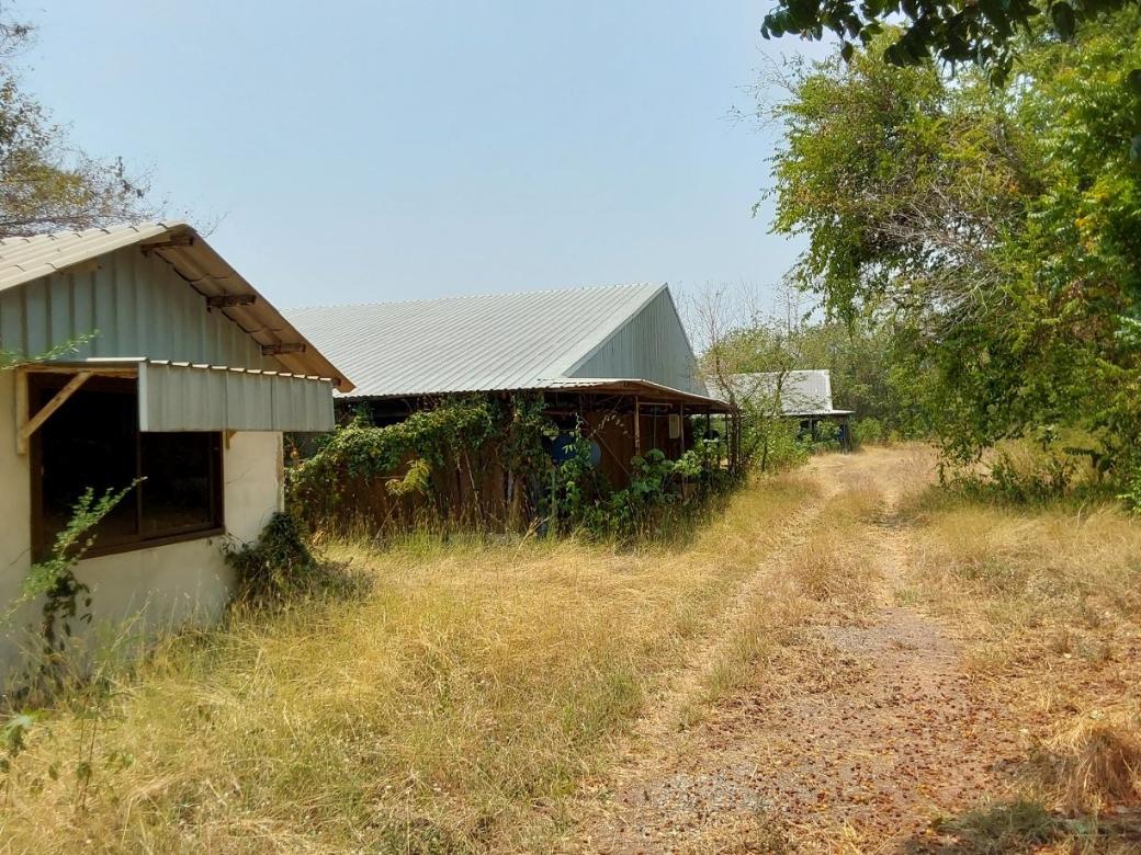 picture LAND 7004 Sq.w. Takhli Nakhon Sawan for 4.4M - 5/11