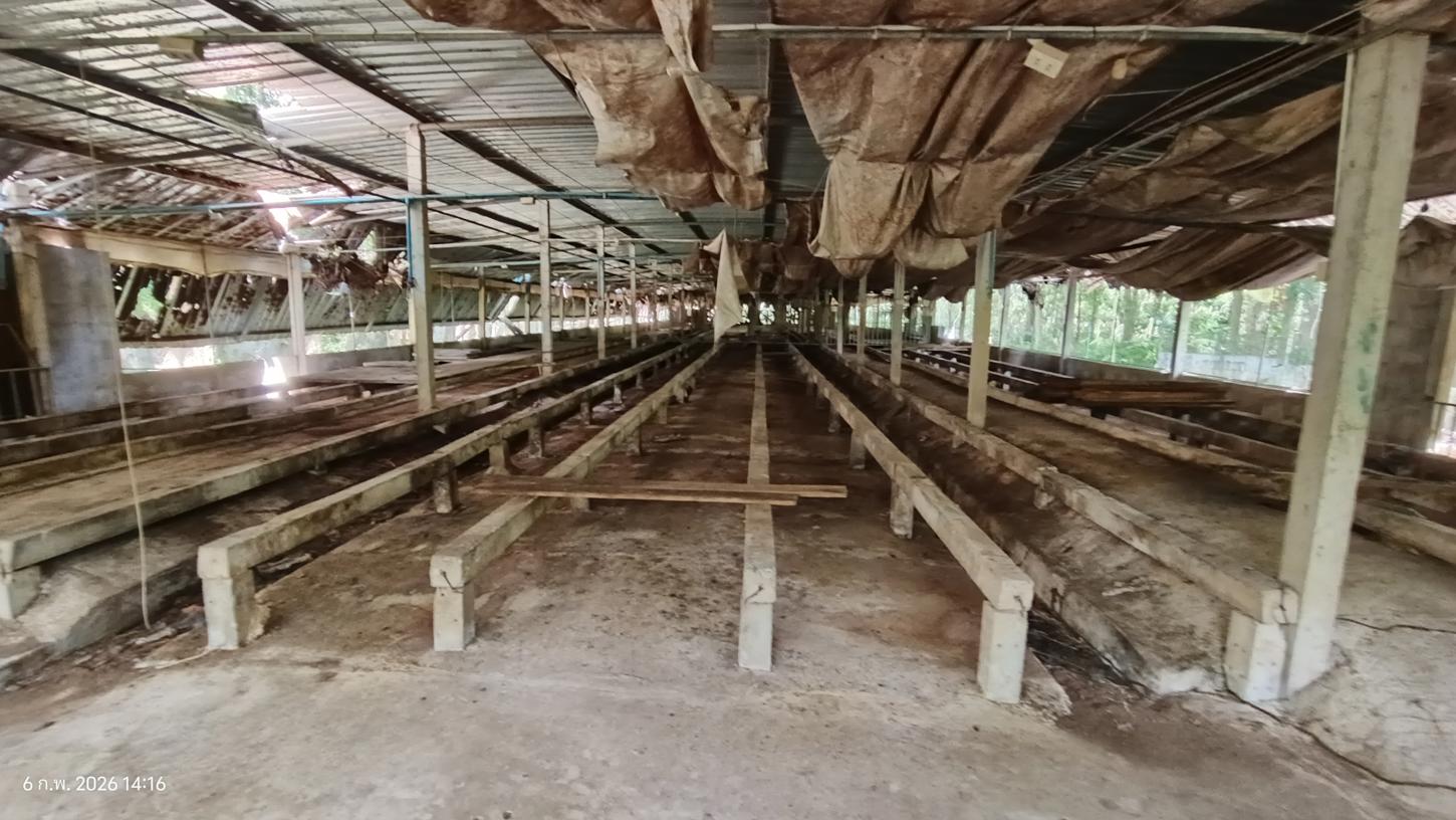 รูป เพิงอเนกประสงค์ 4000 ตร.วา ศรีนครินทร์ พัทลุง 5.1M - รูปที่ 31/40