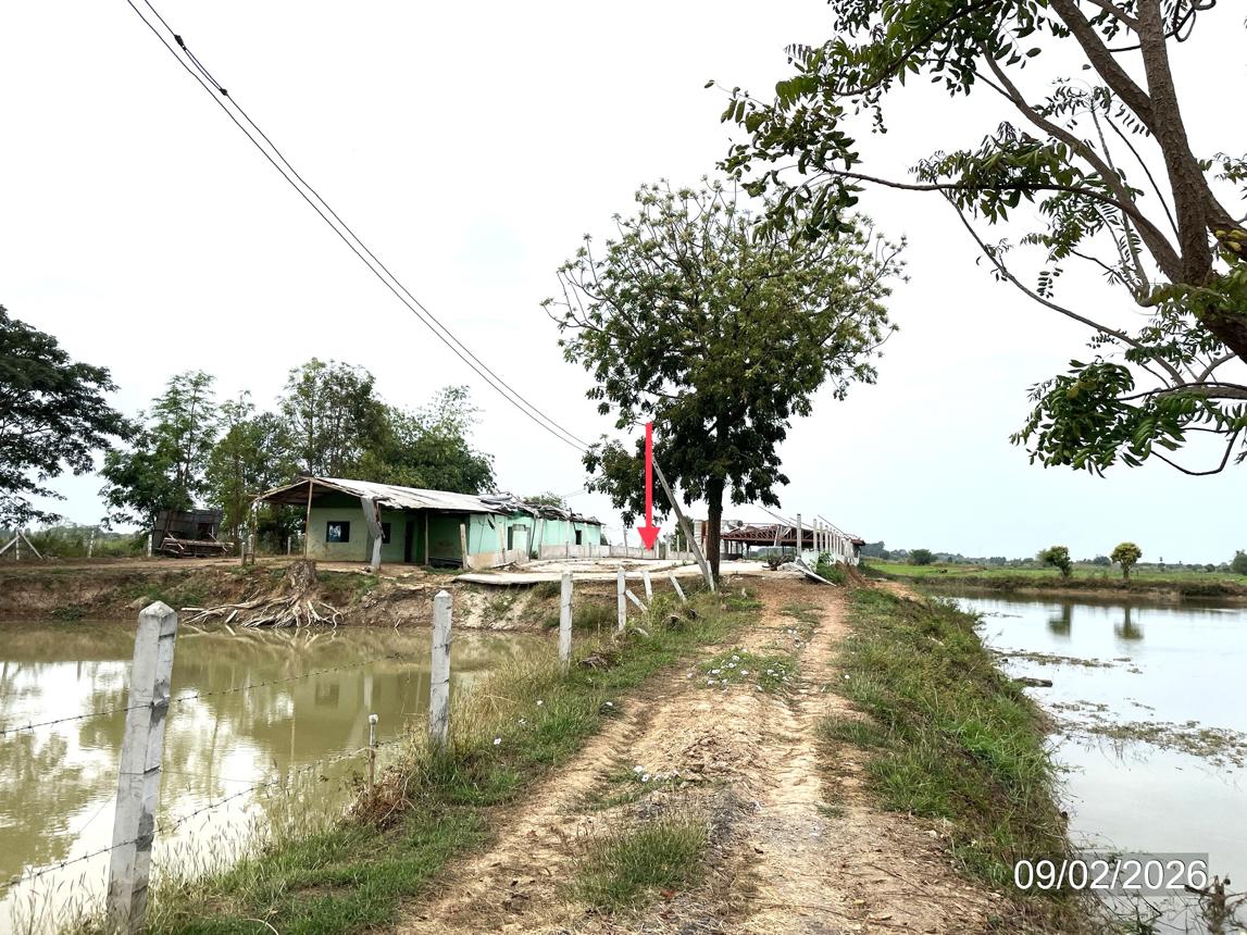 picture LAND 6259 Sq.w. Muang Phichit Phichit for 989,000 - 17/32