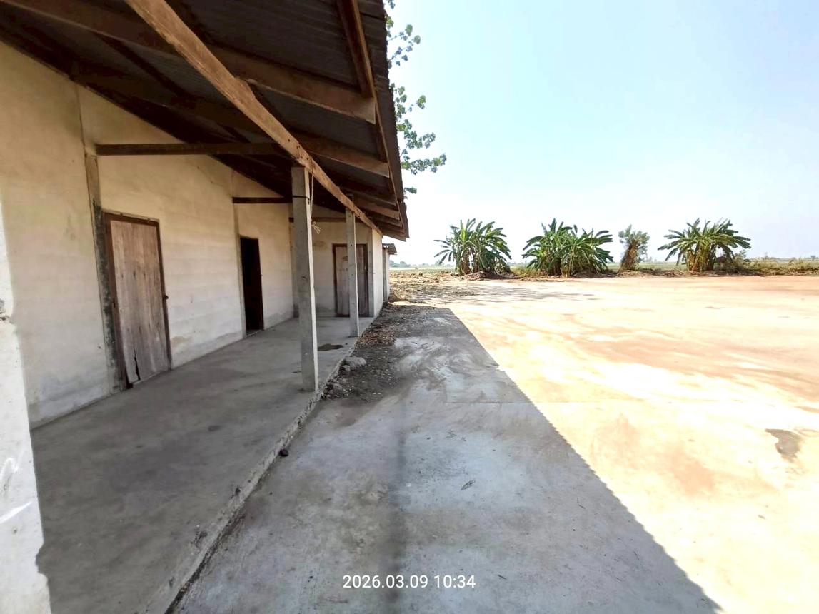 รูป บ้านเดี่ยว 13450 ตร.วา สระโบสถ์ ลพบุรี 12.2M - รูปที่ 15/26