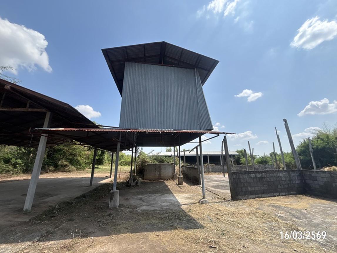 รูป บ้านเดี่ยว 3145 ตร.วา บ้านใหม่ไชยพจน์ บุรีรัมย์ 5.9M - รูปที่ 40/60
