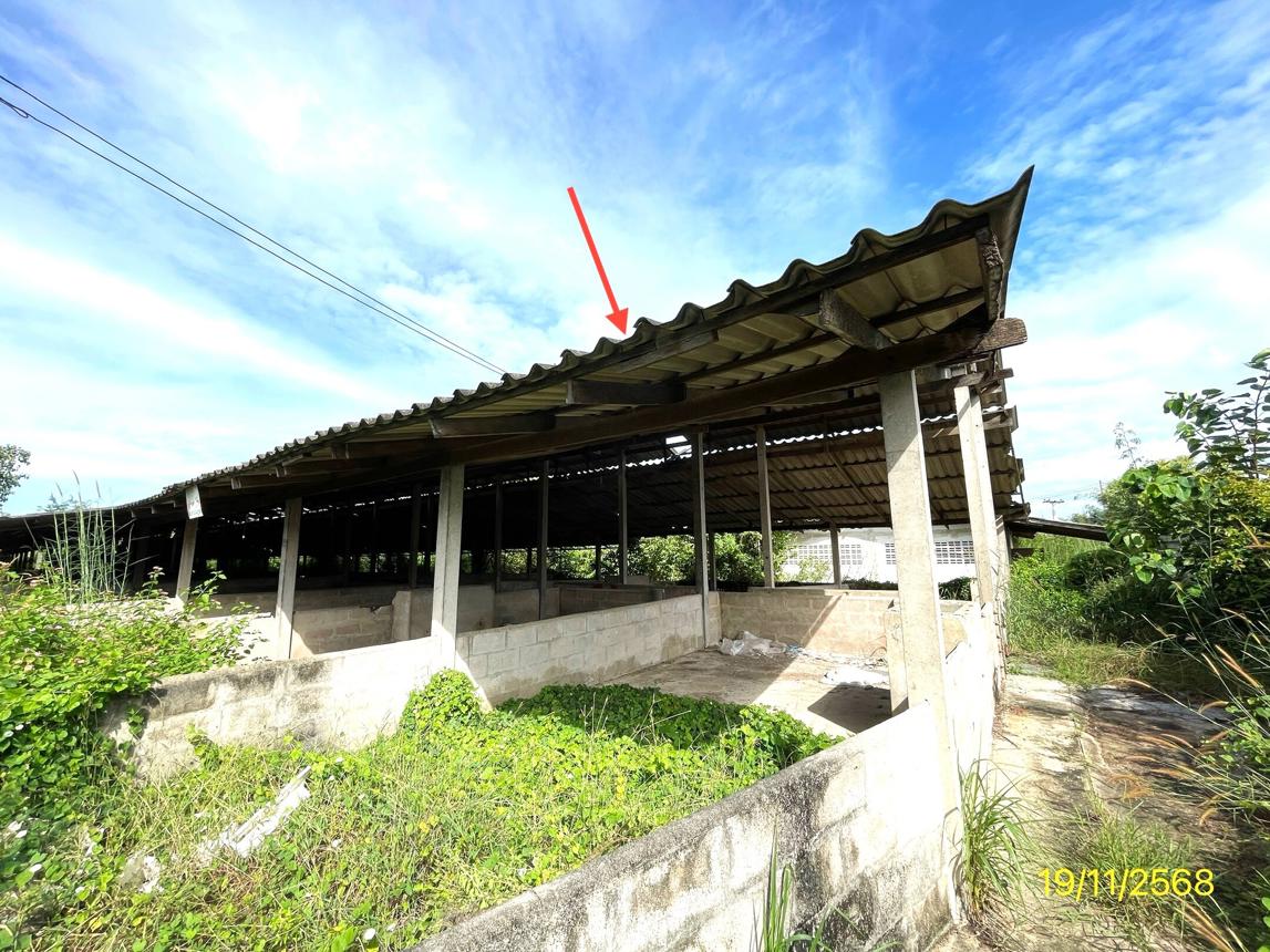 รูป ฟาร์ม 6790.8 ตร.วา โพธาราม ราชบุรี 15.2M - รูปที่ 33/44