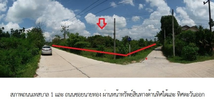 รูป ที่ดินว่างเปล่า 9513.3 ตร.วา ป่าบอน-พัทลุง ป่าบอน พัทลุง 62M - รูปที่ 8/8