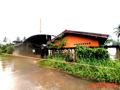 บ้านเดี่ยว สงขลา : บ้านเดี่ยว 245 ตร.วา สะบ้าย้อย สงขลา 3.1M