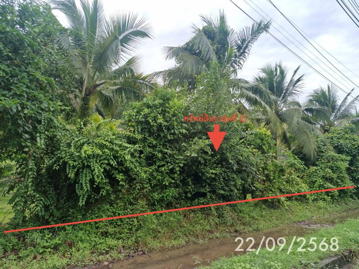 รูป บ้านเดี่ยว 1144.6 ตร.วา กันตัง ตรัง 6M - รูปที่ 14/20