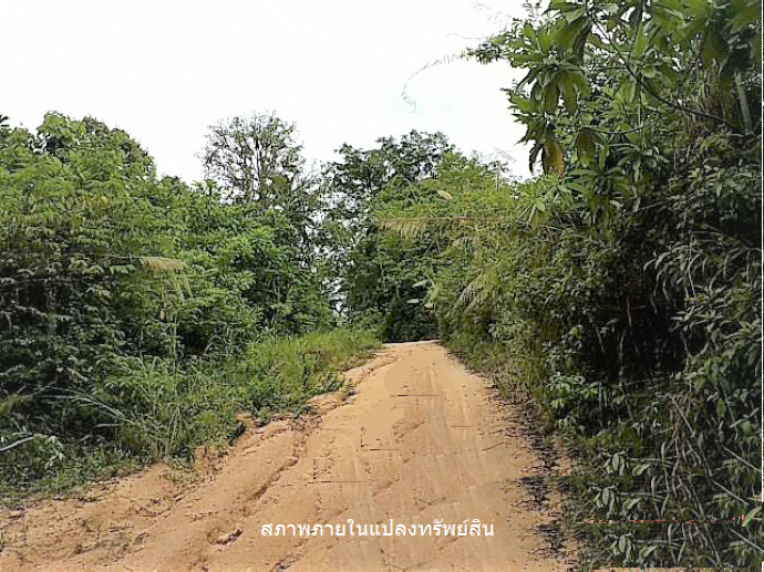 picture PROPERTY 11778.5 Sq.w. Ko Samui Surat Thani for 83M - 9/12