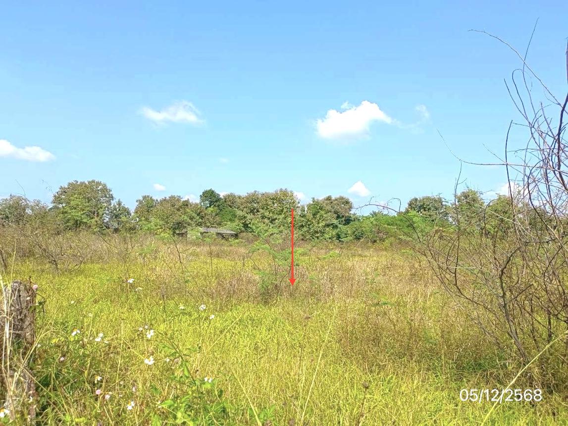picture HOME 5773 Sq.w. Phan Chiang Rai for 4.7M - 16/24