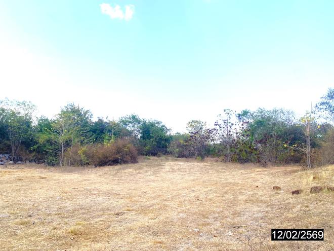 รูป ฟาร์ม 12206 ตร.วา บ้านด่านลานหอย สุโขทัย 9.3M - รูปที่ 4/20