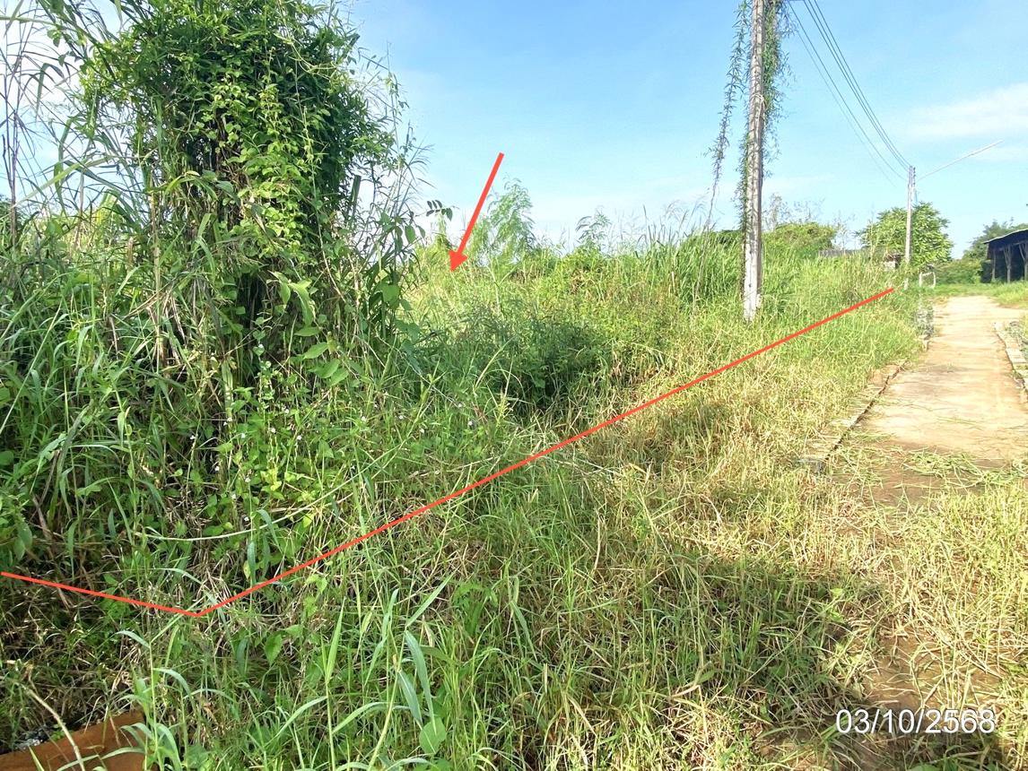 รูป บ้านเดี่ยว 900 ตร.วา เมืองขอนแก่น ขอนแก่น 2.3M - รูปที่ 6/12