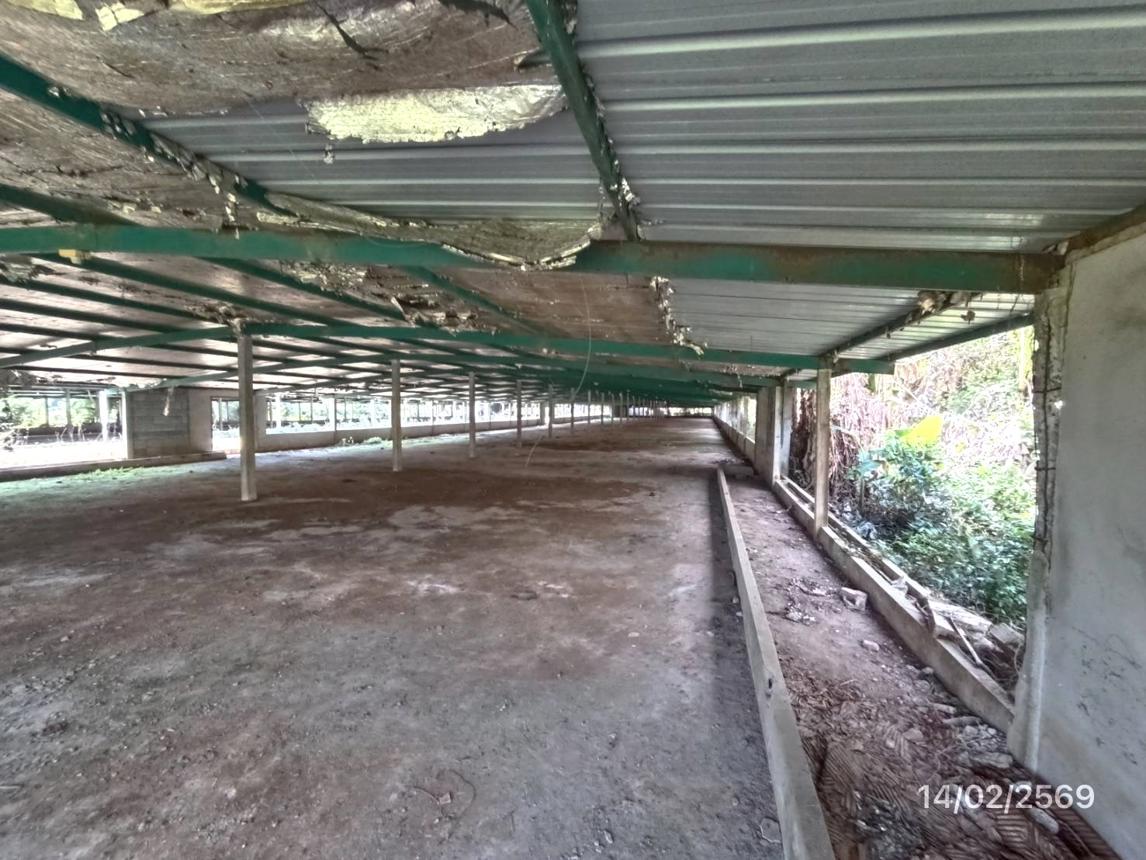 รูป ฟาร์ม 3464 ตร.วา สทิงพระ สงขลา 9.7M - รูปที่ 25/48