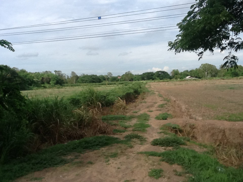 รูป ขายที่ดิน 12 ไร่ครึ่ง ติดปทุมธานี-บางปะหัน ( ทล.347 ) - รูปที่ 4/5