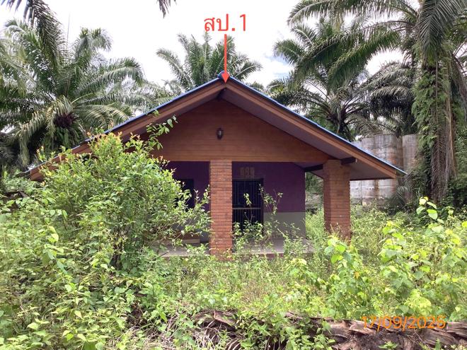 รูป ฟาร์ม 2259.1 ตร.วา เฉลิมพระเกียรติ นครศรีธรรมราช 5.6M - รูปที่ 8/36